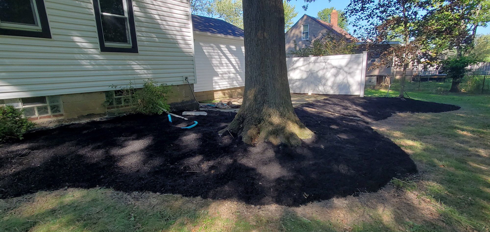 A tree in the backyard of an Euclid, Oh home has the correct amount of mulch applied by Kevin J Services.
