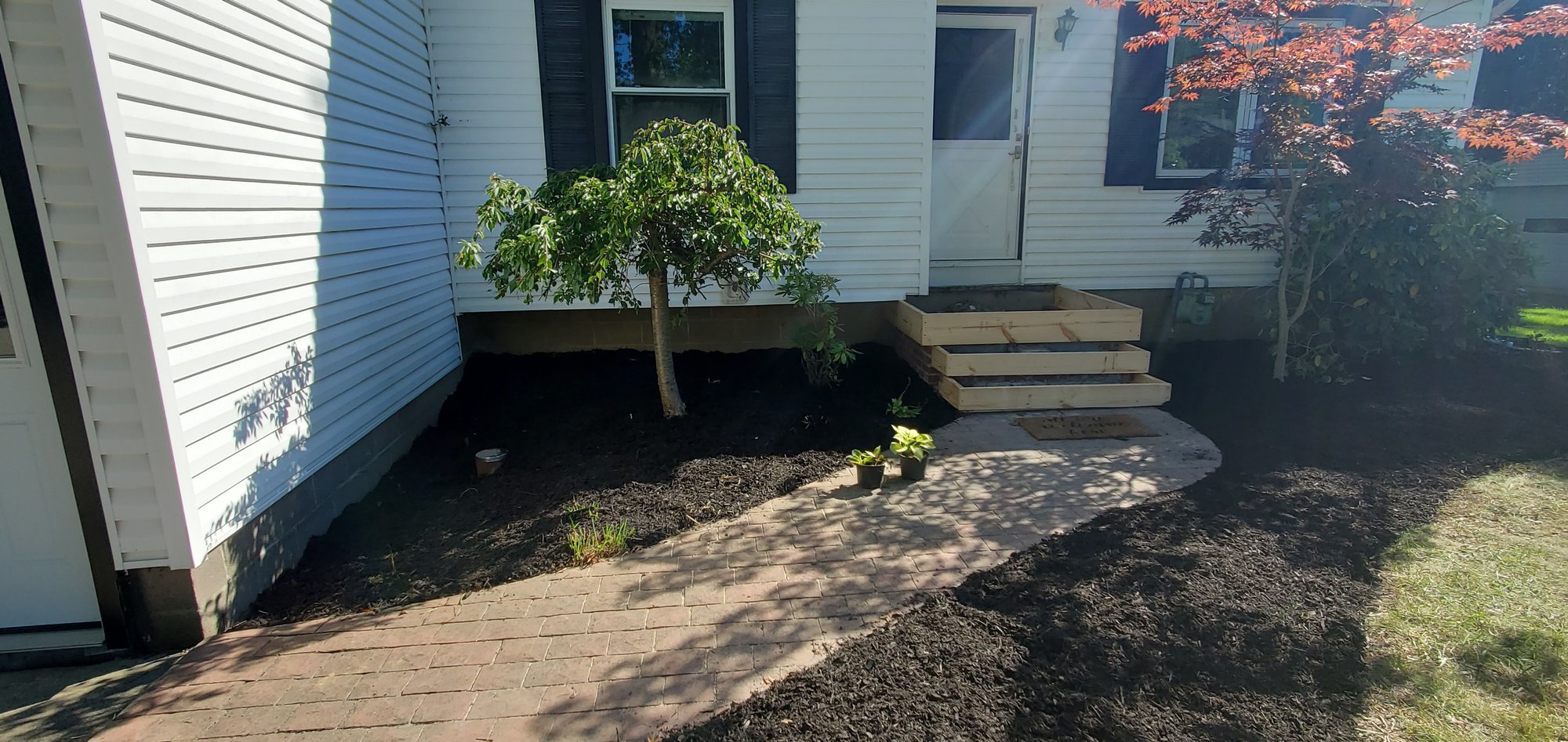 2 small trees in the front yard of a home in Euclid, Oh, had been properly pruned by Kevin J Services.
