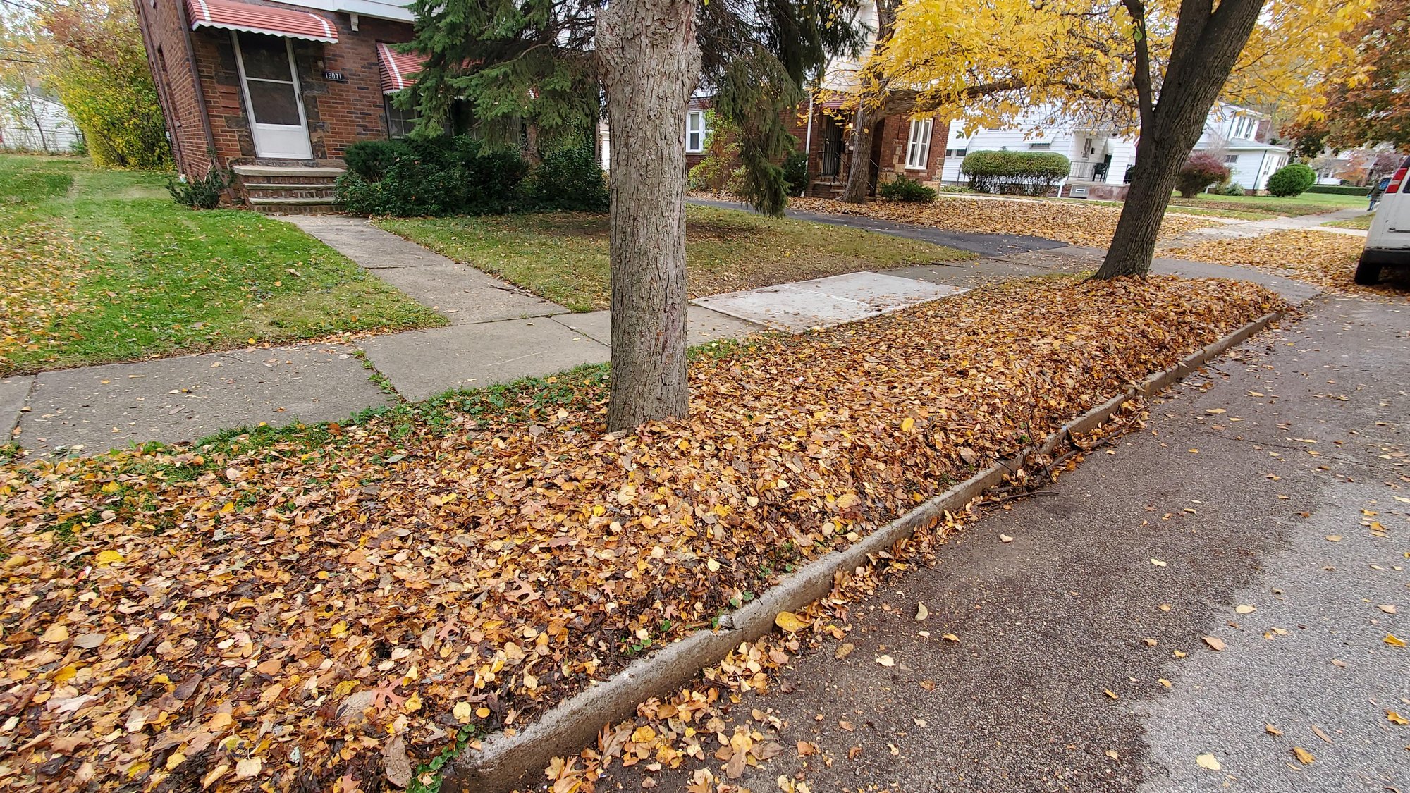 Picture of a Euclid, Oh front lawn after a fall leaf cleanup where the leaves were blown curbside for city pickup.