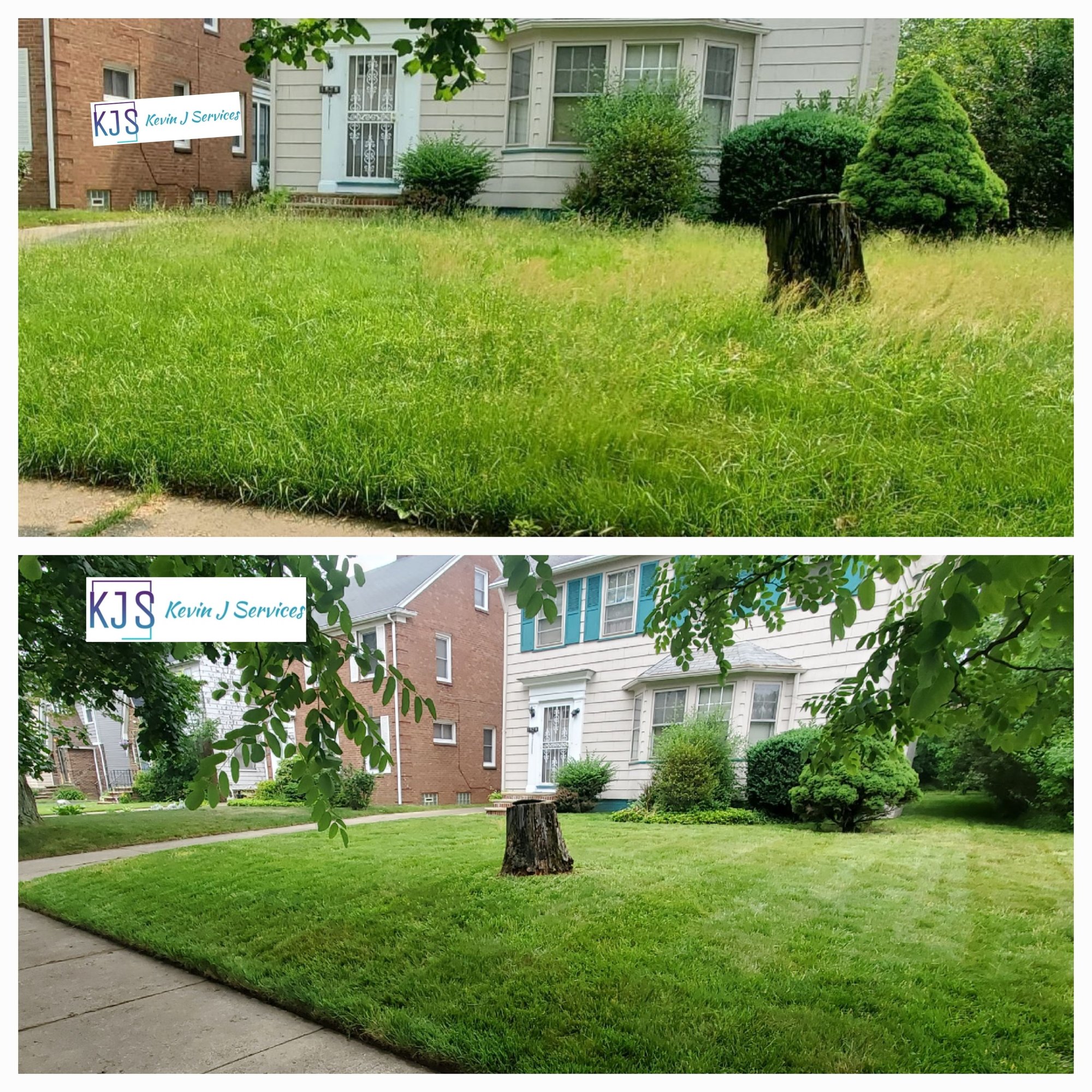 Before and after of a Euclid Ohio front lawn that had a mowing service preformed by Kevin J Services