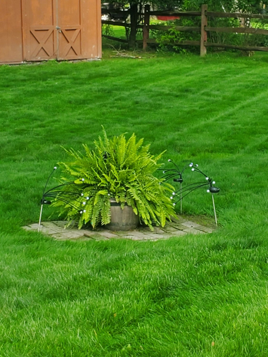 A healthy backyard lawn in Euclid, OH after an aeration and overseeding service by Kevin J Services