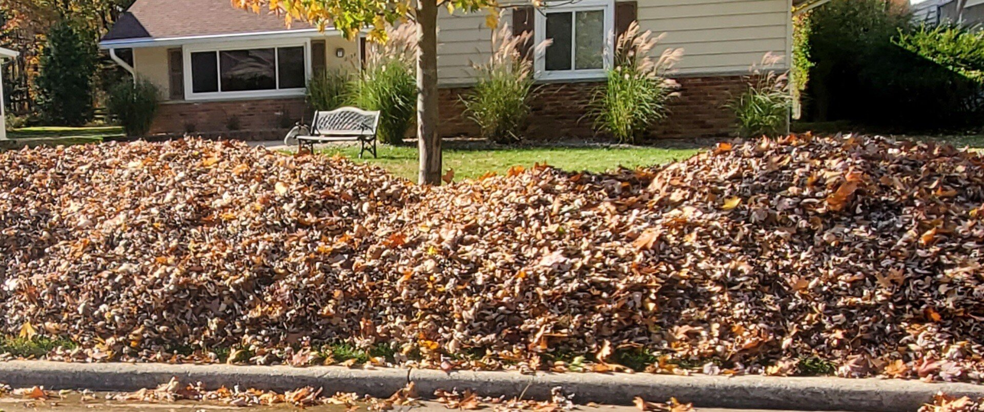 Leaves blew to curb in Euclid,Ohio by Kevin J Services during a fall leaf cleanup. Leaves blew to curb in Euclid,Ohio by Kevin J Services during a fall leaf cleanup.