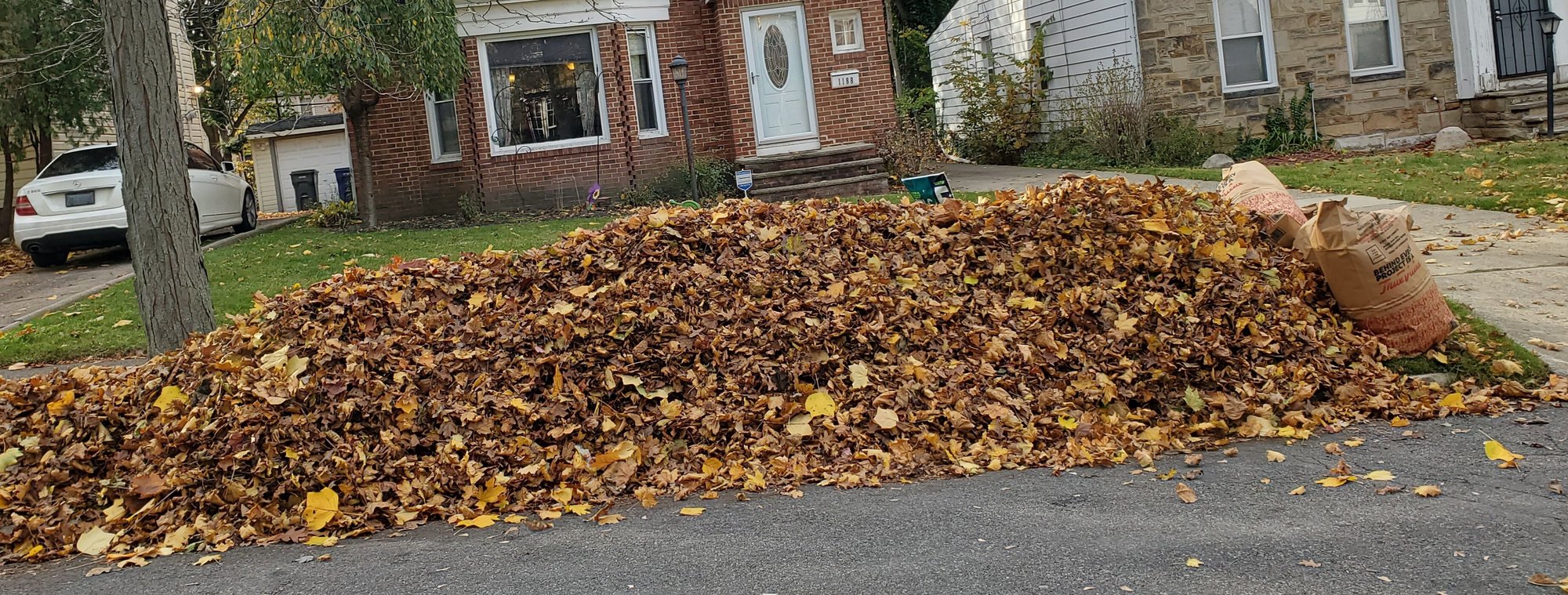 Leaves blown to the curb by Kevin J Services