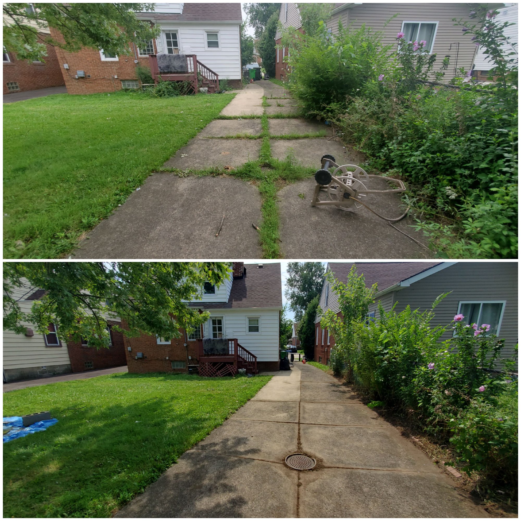 Brush trimming and weeding of driveway