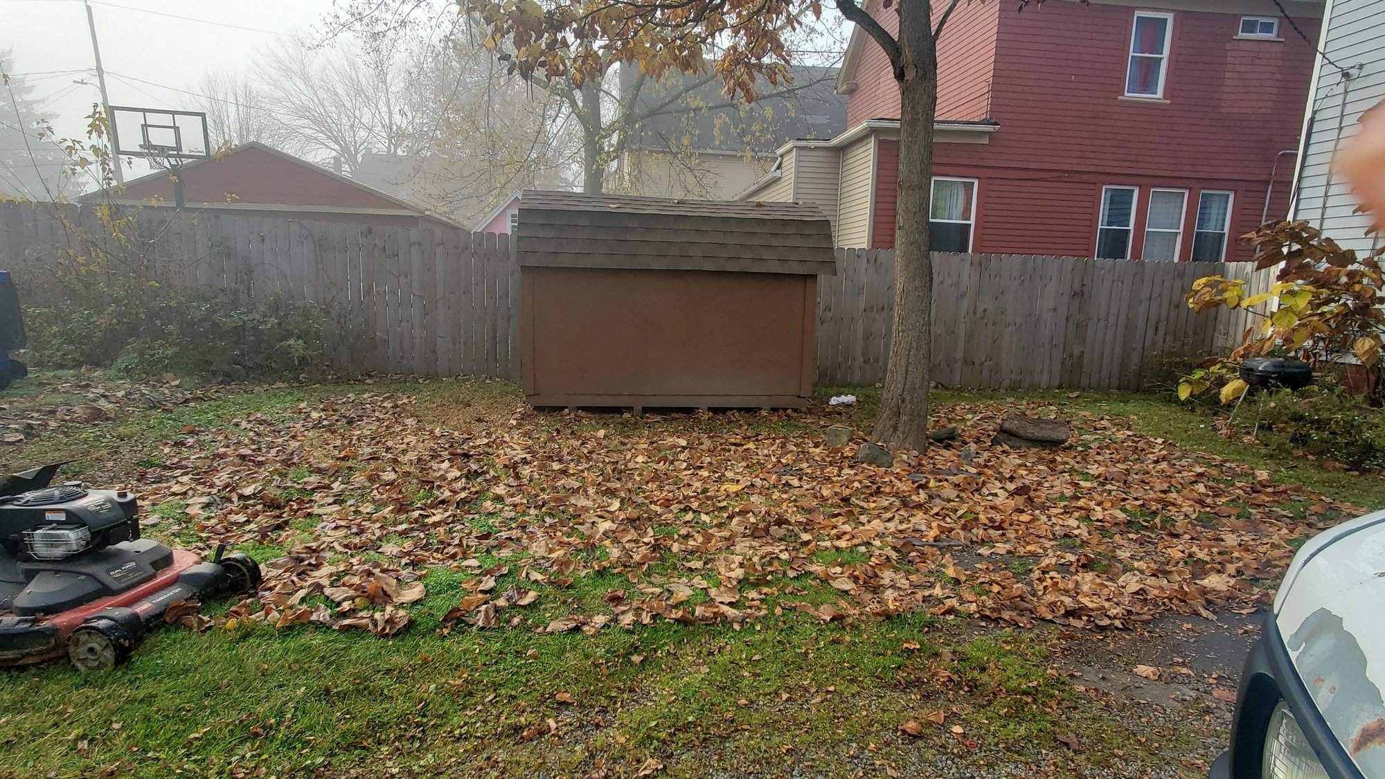 Leaf Cleanup