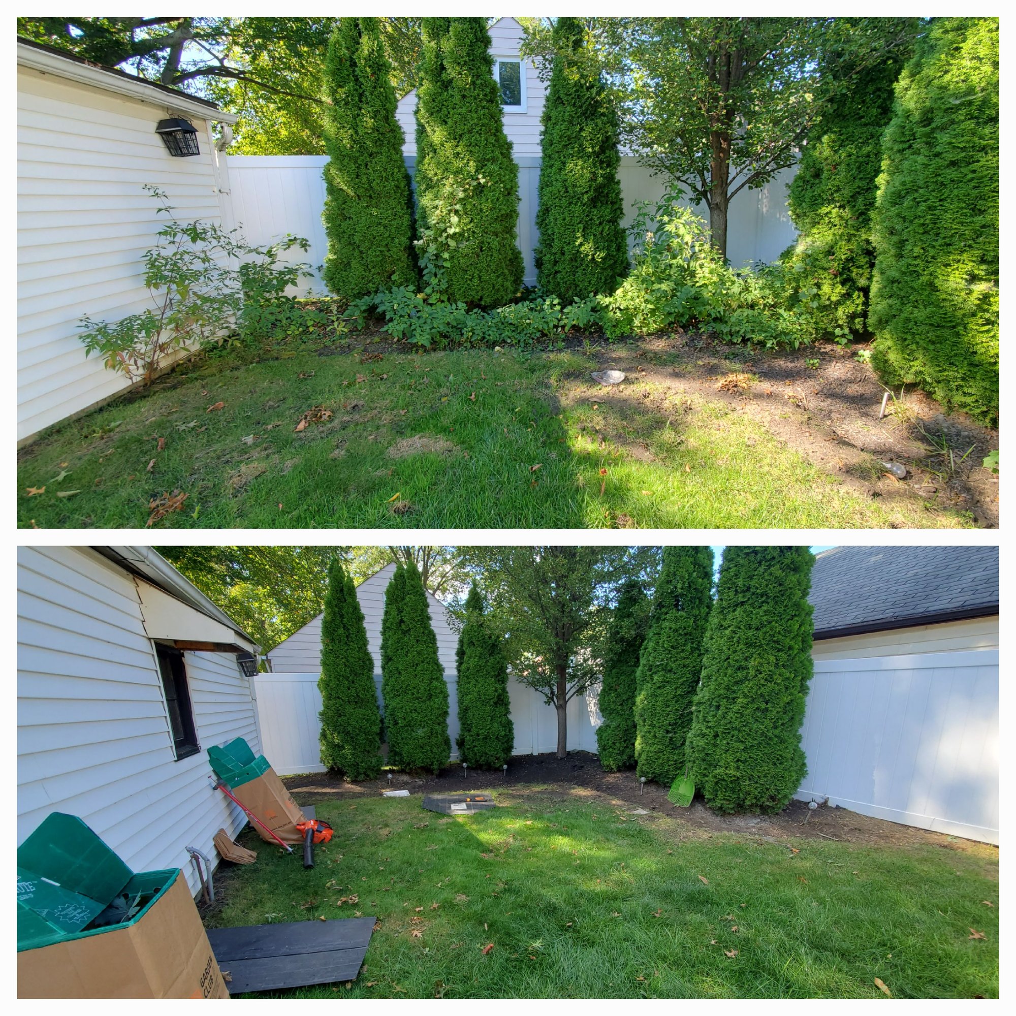 Weeding of Bed